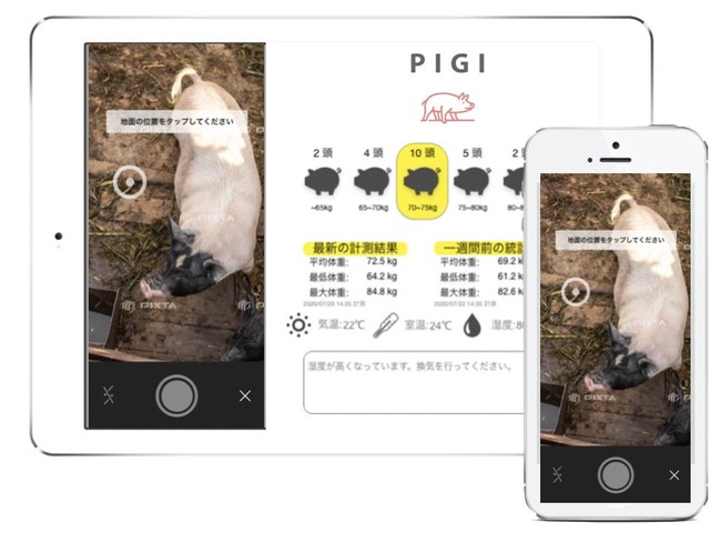 『PIGI（ピギ）』オンラインセミナー3月11日 スマホで豚の体重が測れる