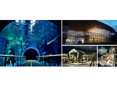 琵琶湖博物館30周年記念事業 ナイトミュージアム・プレミアムナイトツアーを実施します！