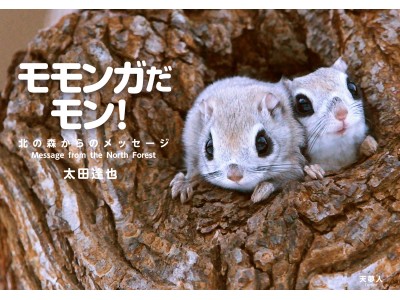 『モモンガだモン！』を発刊。北海道の森に暮らすエゾモモンガのようすをとらえたフォトブックです。メッセージ欄もあるので、たいせつな人へのプレゼントにも最適。