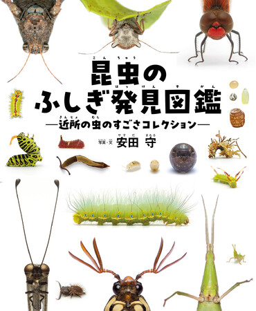 プレスリリース「身近な昆虫の感動ベストセレクション、『昆虫のふしぎ発見図鑑　近所の虫のすごさコレクション』発刊！」のイメージ画像