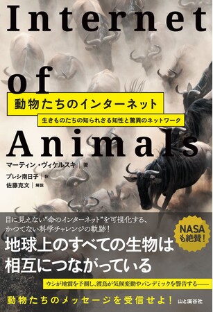 プレスリリース「「動物たちが地球の変化を語りはじめた──」目に見えない“命のインターネット”を可視化する、かつてない科学読み物『動物たちのインターネット』発売」のイメージ画像