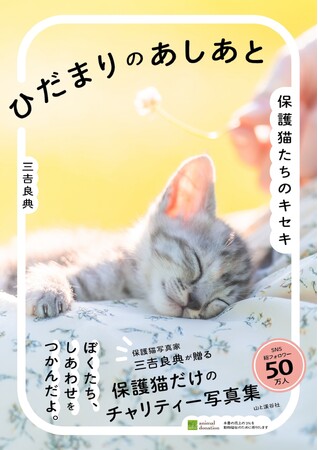 保護猫への支援につながる！ 売上の3％を寄付する写真集『ひだまりのあしあと　保護猫たちのキセキ』を発売