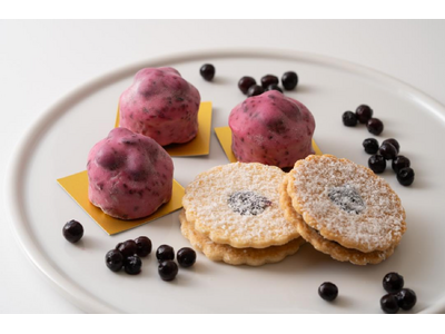 US ハイブッシュブルーベリー協会×cotta のコラボ企画! コッタビジネス会員向け特別講習会開催決定