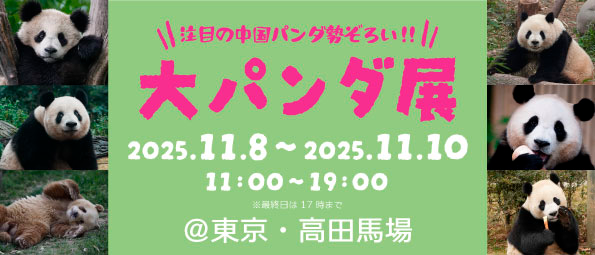 不動の大人気パンダから今話題の注目パンダまで、中国人気パンダたちが勢ぞろい！年内最後の「大パンダ展」を開催！