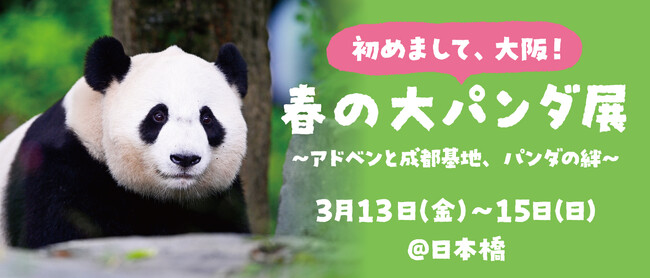 プレスリリース「【3日間限定】祝・大阪初開催！ 「初めまして、大阪！ 春の大パンダ展」を開催！」のイメージ画像