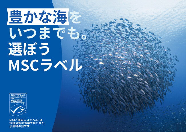 MSCジャパン「豊かな海をいつまでも。選ぼうMSCラベル」 キャンペーン本日スタート　MSCアンバサダー・ココリコ田中さんによるMSC認証取得カキ漁の体験動画を公開