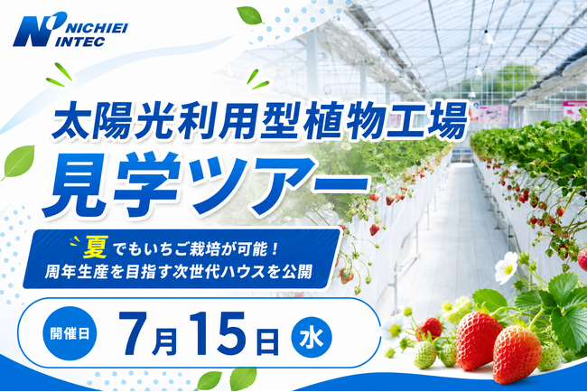 【夏のいちご栽培】千葉県印西市の太陽光利用型植物工場で見学ツアー開催