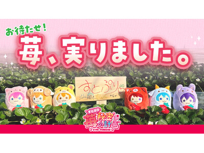 すとぷりの歌声を浴びて育ったオリジナルブランド苺『すとぷり』完成！猛暑を乗り越えた“特別な一粒”が、本日より数量限定で販売開始！