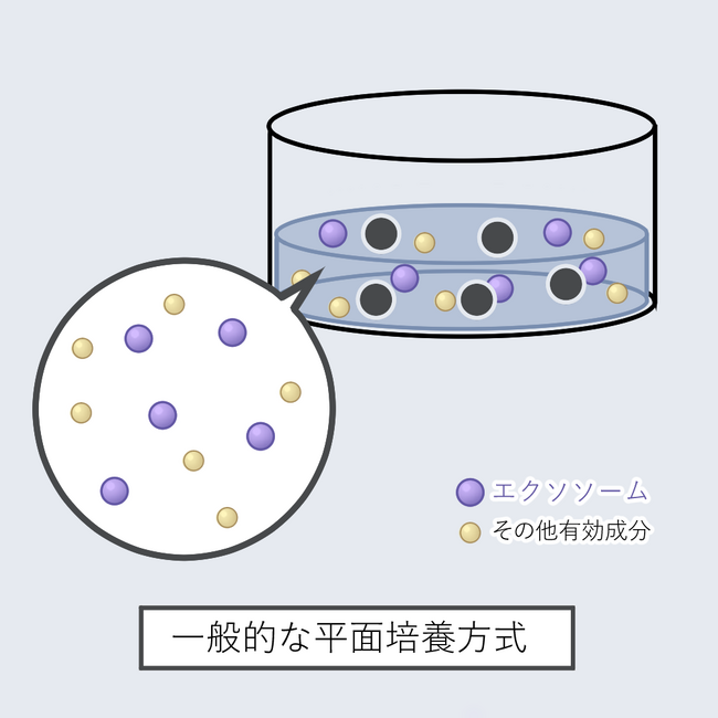 ビューティーワールドジャパン東京（会期：23年5月15日～17日 東京ビックサイト）に出展いたしますのメイン画像