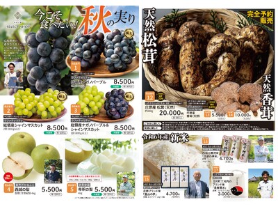「広島の味覚」松茸・香茸に高野りんごに天然鮎…。産直サイトで秋の恵みを味わい尽くす！