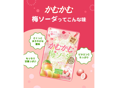 梅の旬を先取り！かむかむ梅ソーダを食べてリフレッシュ！