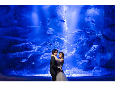 『すみだ水族館』で海のいきものたちと一緒に特別な結婚写真を。スタジオAQUA浅草店で予約受付スタート
