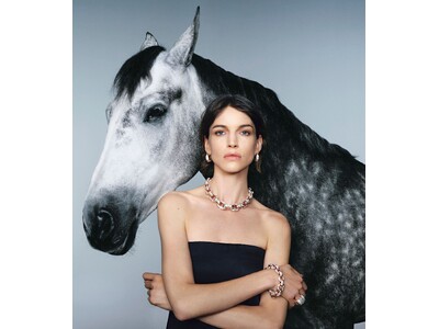 黄金に駆けるスピリット