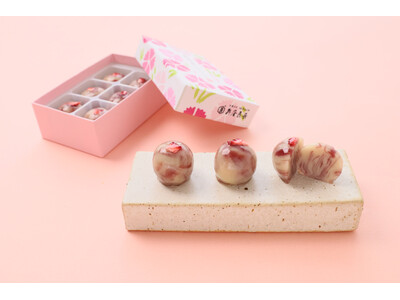 【母の日にとっておきの銘菓を】創業220年の亀屋良長が、甘酸っぱい「烏羽玉 いちごマーブル」など母の日にぴったりな新しい銘菓を発売。