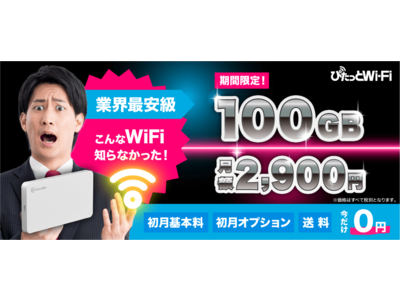 ぴったりのプランが選べるWi-Fiルーター『ぴたっとWi-Fi』　「100GB/月プラン」を2,900円で提供開始