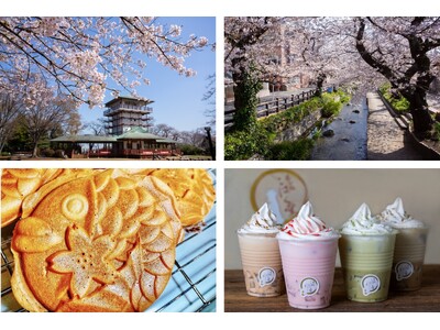 今年もお花見シーズン到来！混雑を避けた都内近郊の隠れ花見スポット 川崎市多摩区の桜名所を紹介