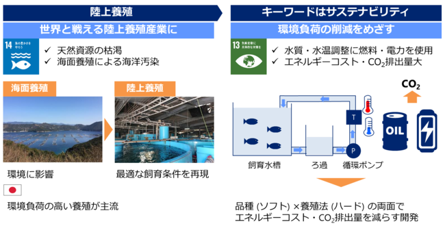 リージョナルフィッシュ、2022年度NEDO「研究開発型スタートアップ支援事業／地域に眠る技術シーズやエネルギー・環境分野の技術シーズ等を活用したスタートアップの事業化促進事業」への採択が決定