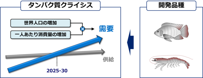 リージョナルフィッシュ、経済産業省/中小企業庁の令和4年度「成長型中小企業等研究開発支援事業」への採択が決定