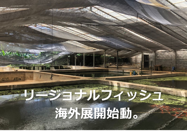 リージョナルフィッシュ、海外展開へ。インドネシアの水産系スタートアップ企業ARUNA社と共同でJETRO「日ASEANにおけるアジアDX促進事業」への採択が決定