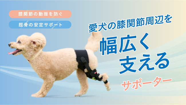 犬用膝サポーターでペットのQOL向上へ！株式会社anifull、オーダーメイドから進化した製品をMakuakeで先行販売開始