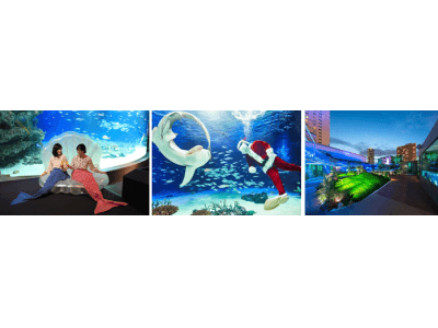 12月5日（水）開催「海のクリスマスパーティー inサンシャイン水族館