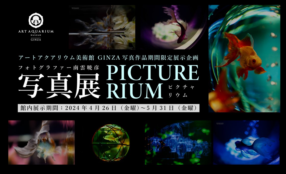 アートアクアリウム美術館 GINZA写真展開催！　フォトグラファー南雲暁彦 写真展「PICTURE-RIUM」　アートアクアリウム美術館の写真作品を多数展示します