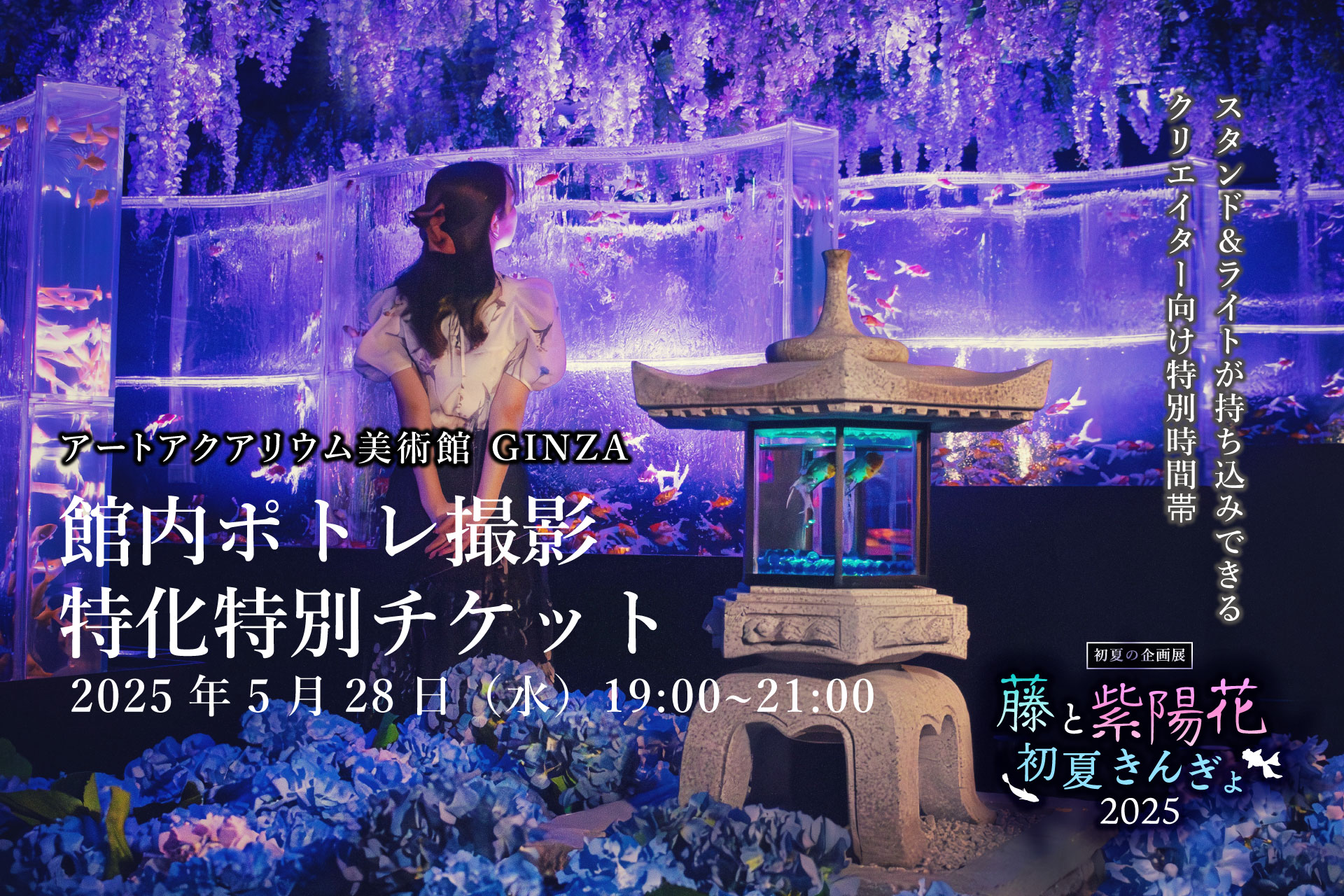スタンドやライトの持ち込みもOK！初夏のアートアクアリウムでポトレ写真・動画撮影を楽しめる特別イベント第二弾開催決定！5月28日（水）閉館後の館内にて限定開催