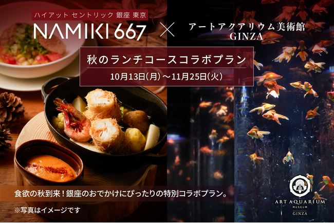 【アートアクアリウム美術館 食の秋コラボ第二弾】ハイアット セントリック 銀座 東京 NAMIKI667の秋ランチとアートアクアリムの金魚アート鑑賞で秋の銀座満喫プラン♪
