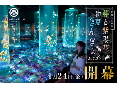 アートアクアリウム美術館 GINZA初夏の企画展「藤と紫陽花 初夏きんぎょ2026」4月24日開幕