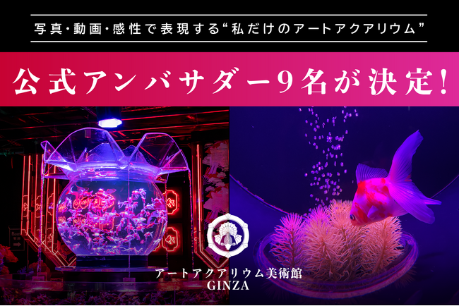 写真・動画・感性で表現する“私だけのアートアクアリウム” アートアクアリウム美術館 GINZA 2026年公式アンバサダー9名が決定！