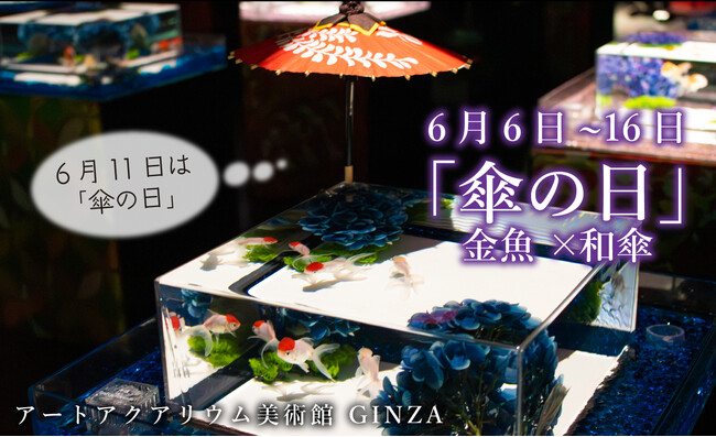 6月11日は「傘の日」 アートアクアリウム美術館 GINZAでは、和傘と紫陽花のコラボレーションで梅雨を艶やかに演出！のメイン画像