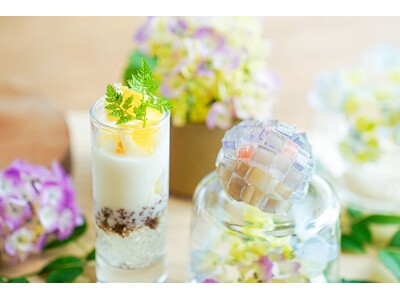 梅雨のおでかけに。森のカフェで楽しむ紫陽花スイーツ付き「森のアフタヌーンティー 初夏」が登場