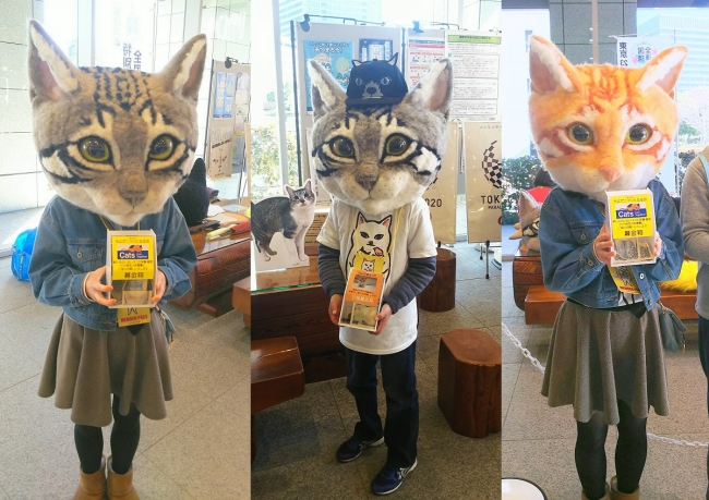 コロナショックで閉鎖した猫好きの集まる教室の再開をクラウドファンディングで支援しよう 記事詳細 Infoseekニュース