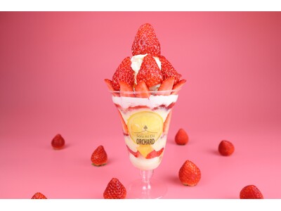 広島空港そば 体験型の食のテーマパーク八天堂ビレッジ【いちごフェスティバル】旬のいちごをふんだんに楽しめ...