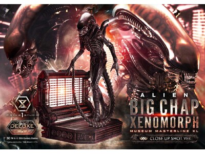 �g�����o���f�B�w�b�h�h�œo��I�f��w�G�C���A���x�́u�r�b�O�`���b�v �[�m���[�t�v���A�S��100cm�̃X�^�`���[��