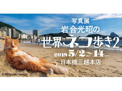 ４日間動員 約２万人 人気写真展 岩合光昭の世界ネコ歩き２ が日本橋三越本店で14日 月 まで開催中 企業リリース 日刊工業新聞 電子版