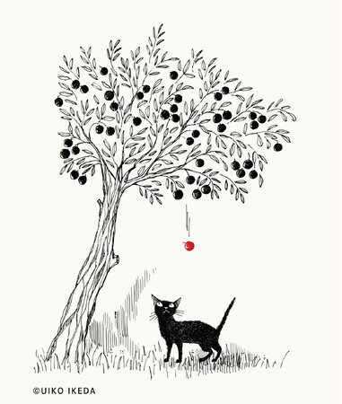 プレスリリース「『GOMA　黒ネコ、日々色々。』発売のお知らせ」のイメージ画像