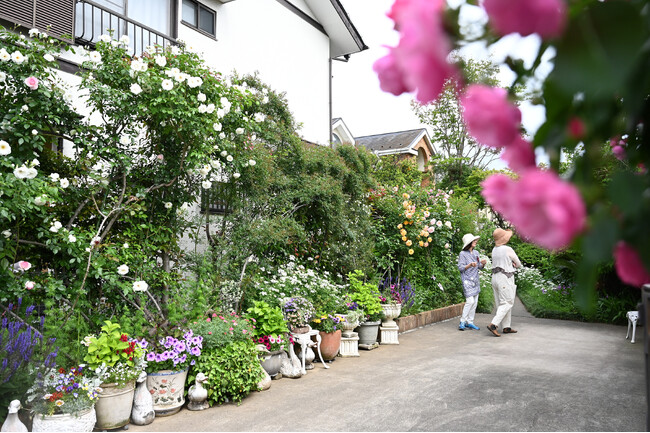 【埼玉県北本市】今年で11回目！例年2,000～3,000人が来場する「きたもとオープンガーデン2026」が5月8日～10日に開催
