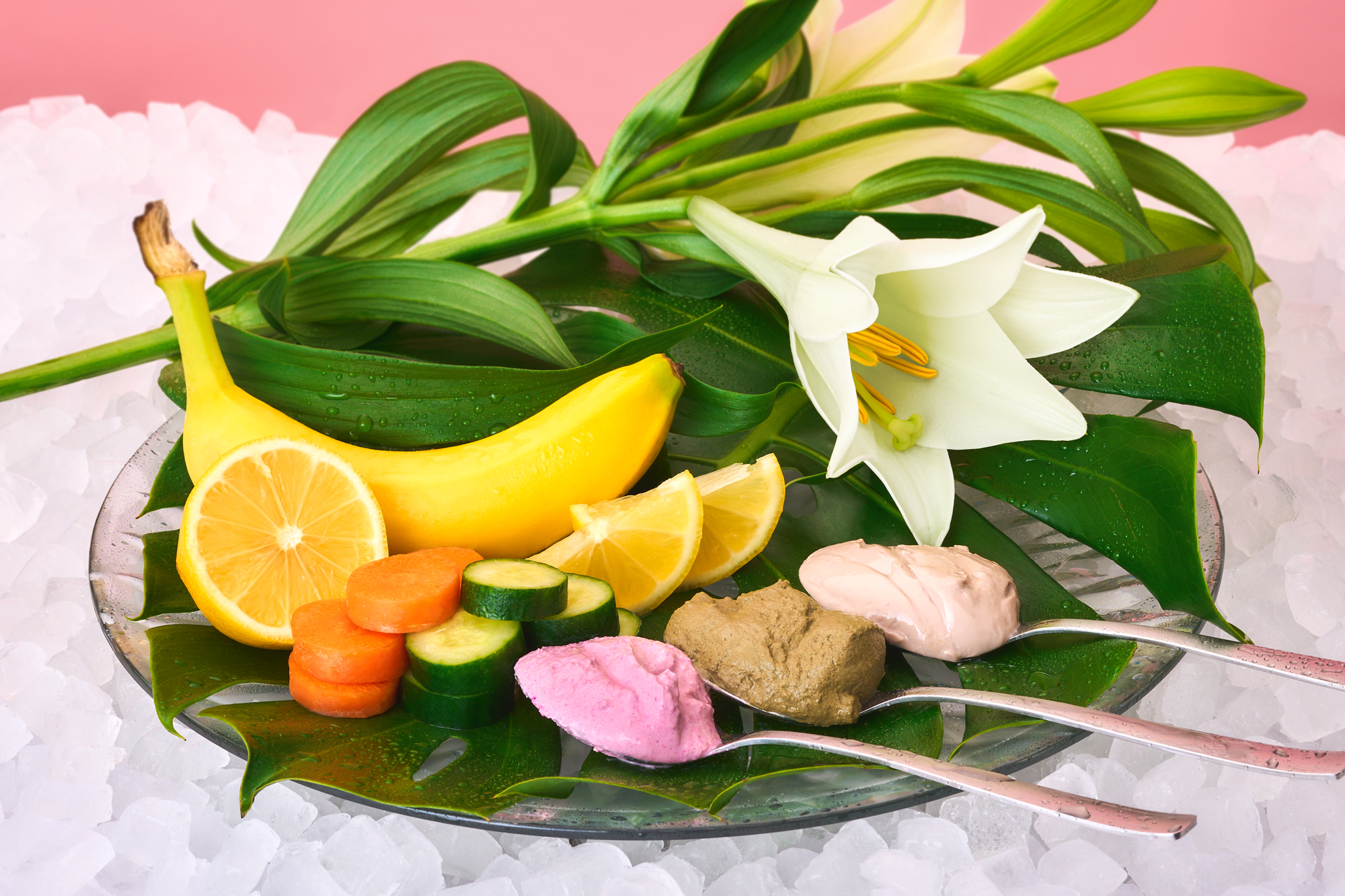 肌が喜ぶ、植物の恵み。「Fresh Skincare Collection」2026年2月19日（木）より期間限定発売