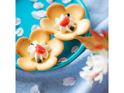 【お花見シーズン到来】桜の下でも、おうちの食卓でも。お花見の席に華を添える、“お花のカタチ”のラングドシ...