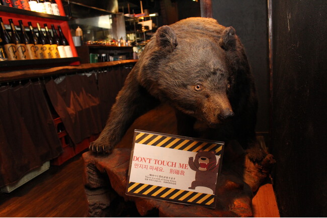 大阪・心斎橋エリアで熊肉が食べられる冬季限定「熊鍋コース」が山小屋居酒屋SUMIKAより11月26日に新登場