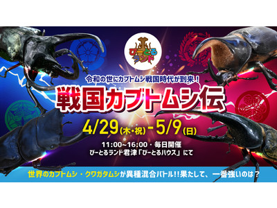 甲虫たちが戦国武将になる!?GWに「戦国カブトムシ伝」を開催!