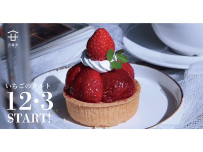 完売必至！冬の新作！糸島産いちごを贅沢に使ったスイーツ第３弾「いちごのタルト」は12月3日(土)より発売開始！