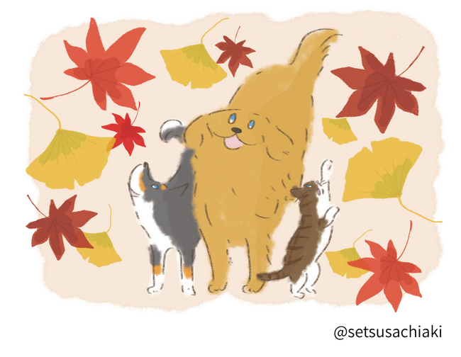 【日本動物高度医療センター】～救える命を少しでも増やしたい～ 高度医療の認知向上を目的とした啓発プロジェクトを開始