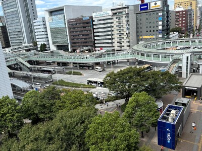 横浜北部エリア初出店「ウスイホーム新横浜店10月4日オープン」