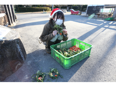 群馬サファリパーク、動物たちと過ごす特別なクリスマス