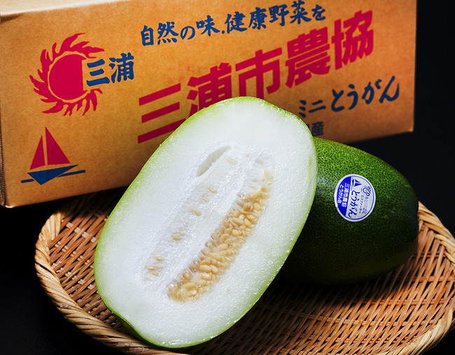 「冬瓜の消費拡大キャンペーン」を豊洲市場ドットコムで開催。産地箱や大玉のトウガンが手頃な価格で手に入ります。