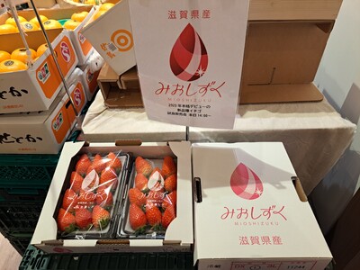 『豊洲市場ドットコム』豊洲千客万来 直営店にて、「ＪＡ全農しが」との協働で、新品種イチゴ「みおしずく」の...