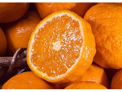 古くて新しい。希少品種の柑橘「農６ のうろく」を豊洲市場ドットコムでお取り寄せ！今シーズンの出荷が始まります