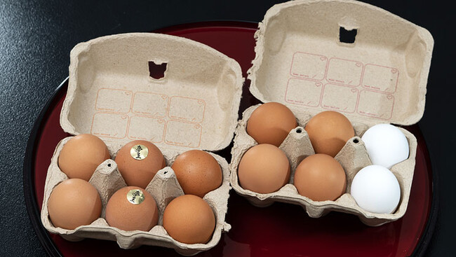 「日本たまごかけごはん研究所」とのコラボ第三弾！一般入手が難しい全国のこだわり卵 “約100種類” から６種を厳選して届けます